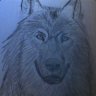 Deadlywolf13 Bear
