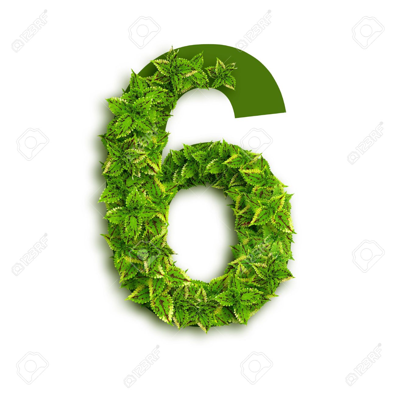 15402900-Number-6-alphabet-of-green-leaves-isolated-on-white-background--Stock-Photo.jpg
